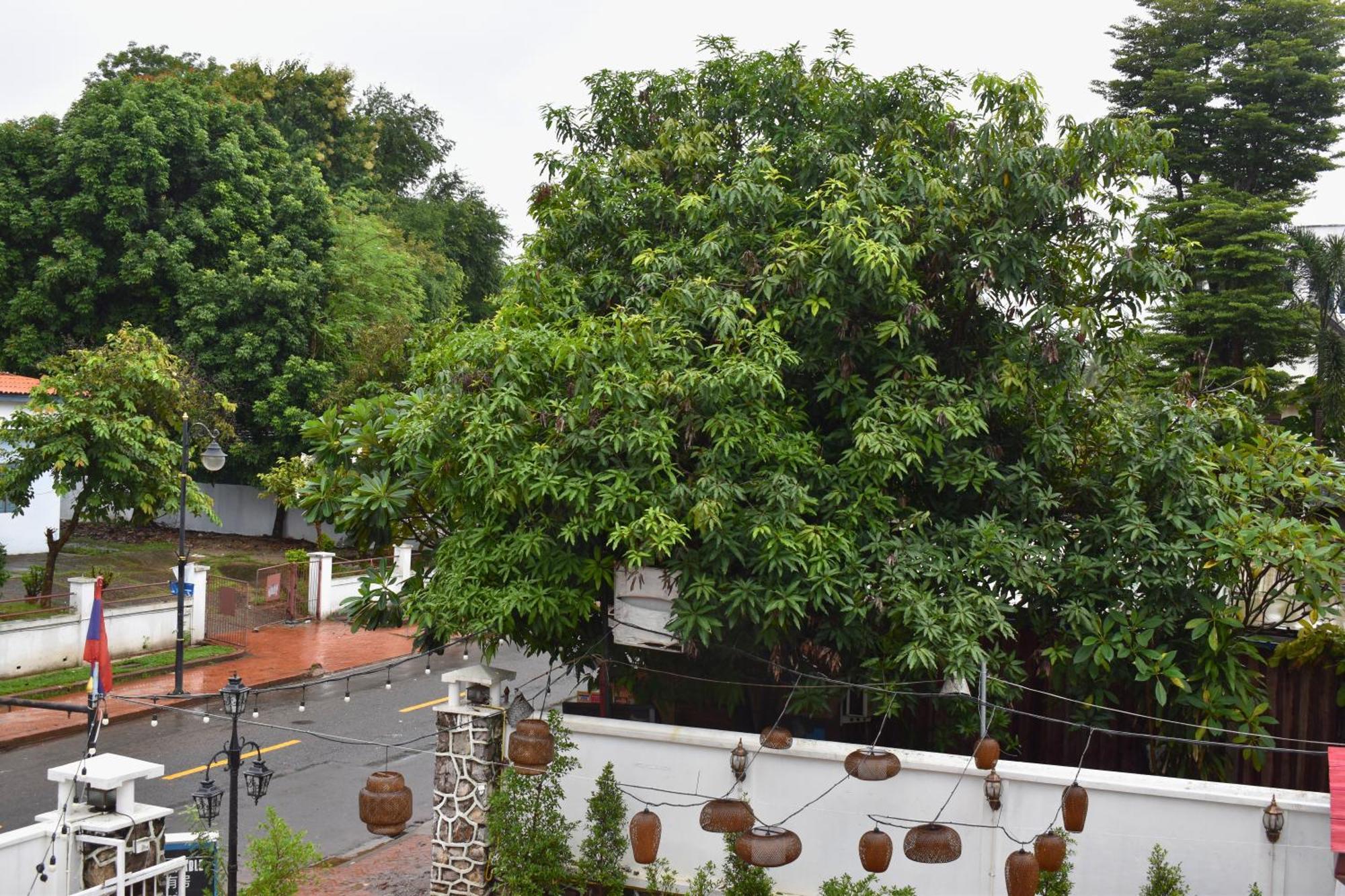 Monsane Villa Luang Prabang Esterno foto